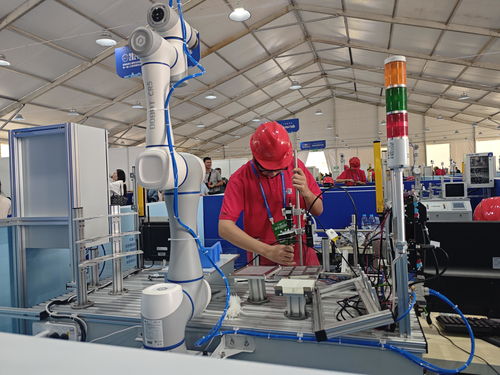 河南省第三屆職業(yè)技能大賽在開封開幕，技術(shù)服務(wù)引領(lǐng)未來(lái)